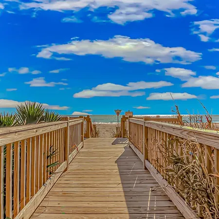 Stunning Ocean View- Recently Updated Studio- Sea Mist 51509